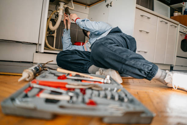 Best Sprinkler Systems  in Point Mackenzie, AK