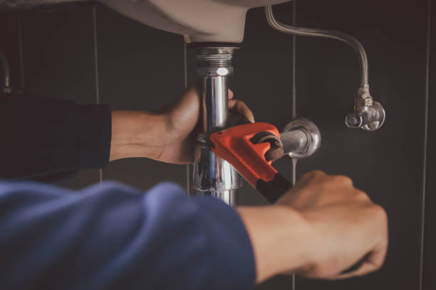 Best Plumbing Inspection Services  in Point Mackenzie, AK
